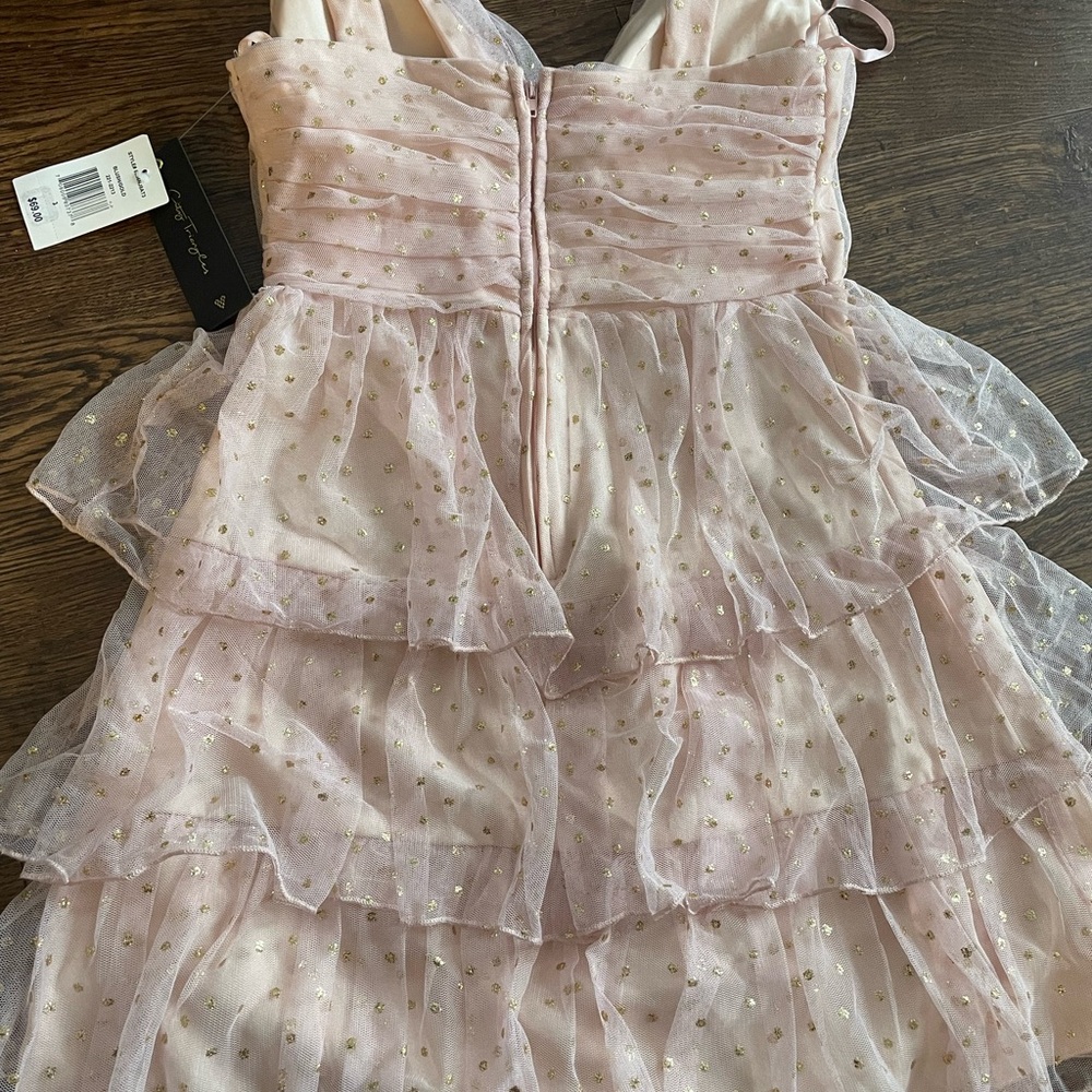 BNWT Mesh pink ruffle with dot of golden dress - Picture 8 of 10